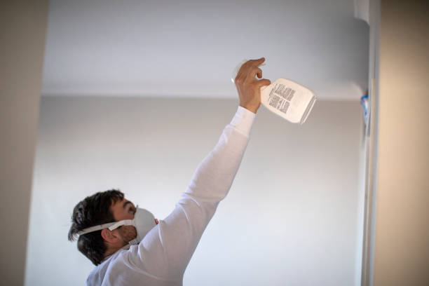 Best Attic Mold Removal  in Pompton Lakes, NJ