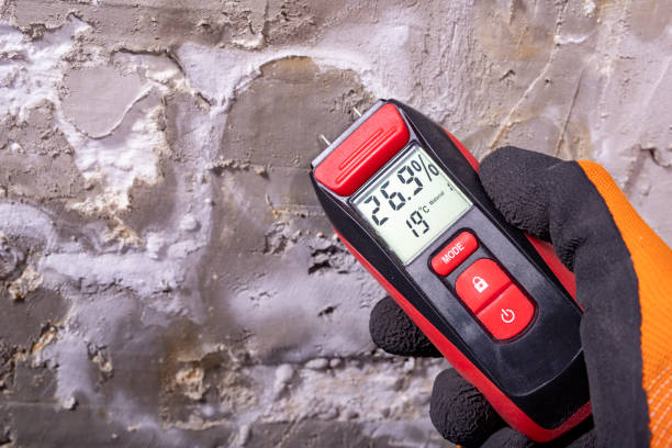 Professional Mold Removal in Pompton Lakes, NJ