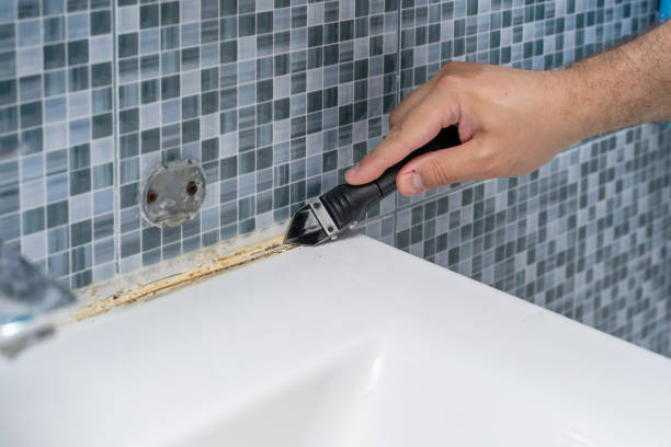 Best Emergency Mold Removal  in Pompton Lakes, NJ