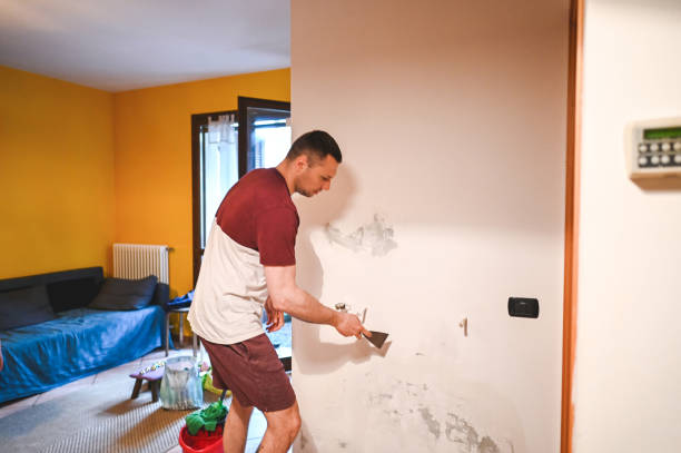 Best Mold Damage Repair  in Pompton Lakes, NJ