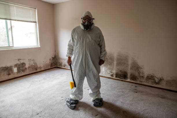 Crawl Space Mold Removal in Pompton Lakes, NJ