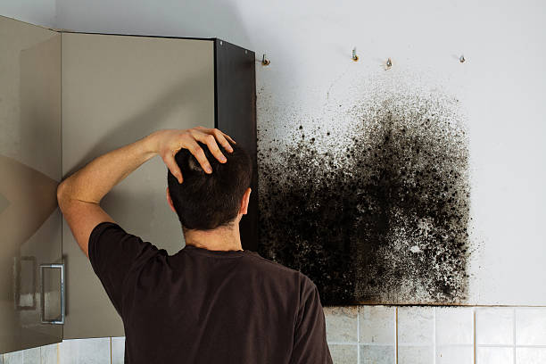 Attic Mold Removal in Pompton Lakes, NJ